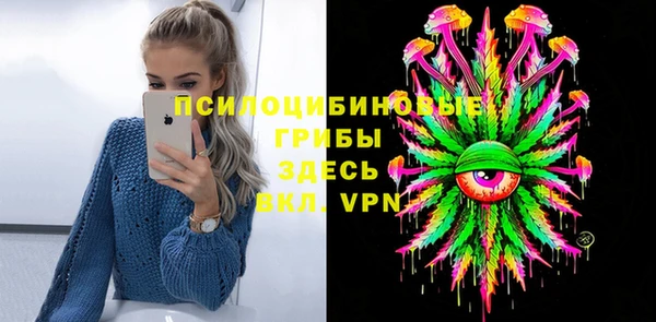 прущие крисы Арсеньев