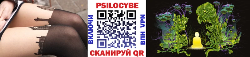 blacksprut как войти  закладка  Моздок  Галлюциногенные грибы Cubensis 